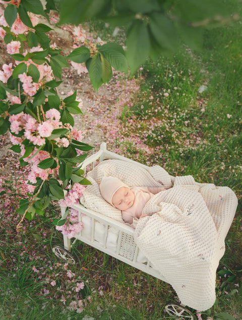 Peluche Birds Embroidered Waffle Blanket - Cream,Pink